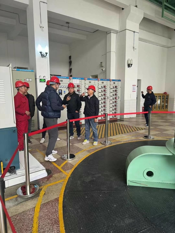 3200 кВт до 5000 кВт Гидроэнергия генератор турбинного генератора Франсиса для водотурбинного гидрогенератора