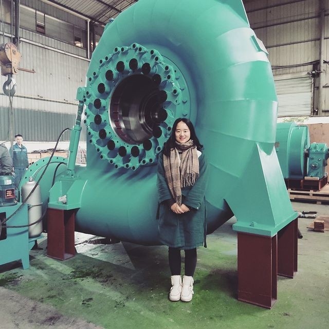 Настраиваемый цветной генератор водяной турбины 200KW-20MW 50/60Hz Авто / ручное управление