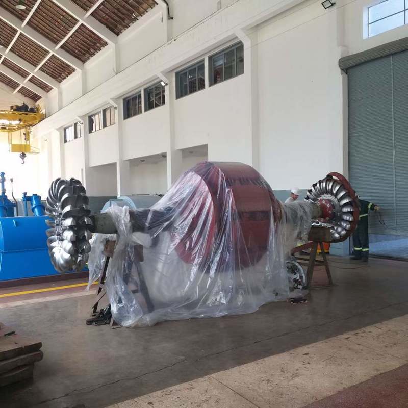 Экологичные генераторы турбин Пелтона | Прочное гидроэлектрическое оборудование для проектов устойчивой энергетики