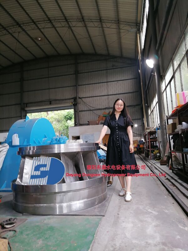 Генератор турбины Фрэнсиса с диапазоном скорости от 150 до 1000 оборотов в минуту, продолжительностью службы от 30 до 50 лет и мощностью от 300 кВт до 20 МВт для гидроэлектростанций