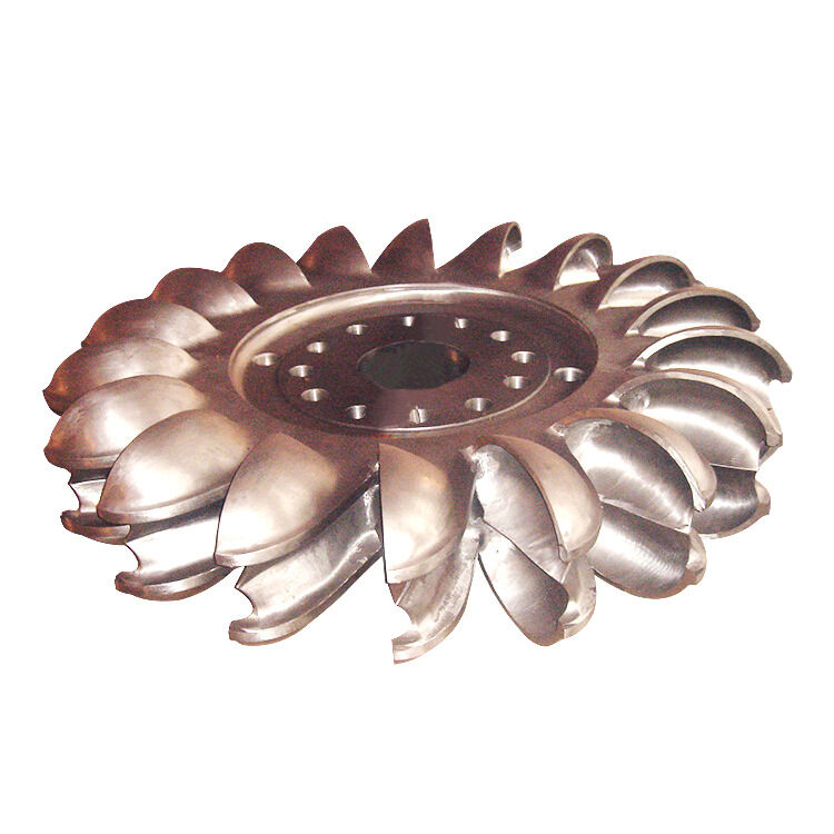 Чугунный гидрогенератор Фрэнсиса со статическим возбуждением, обеспечивающий выработку электроэнергии и преобразование энергии воды