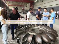 1-100 МВт номинальной мощности гидротурбинный двигатель с давлением входа 10 МПа и материалом из нержавеющей стали